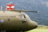 Filename=Airpower_2009_413.jpg
Filesize=221KB
Dimensions=720x480
Date added=Jul 01, 2009 Airpower_2009_413.jpg