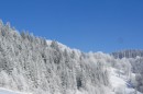 Ebenwald-Winter-2013-10.jpg