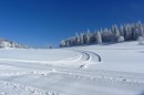 Ebenwald-Winter-2013-101.jpg