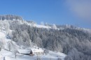 Ebenwald-Winter-2013-11.jpg
