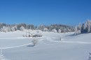 Ebenwald-Winter-2013-113.jpg