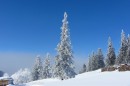Ebenwald-Winter-2013-117.jpg