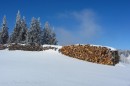 Ebenwald-Winter-2013-118.jpg