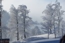 Ebenwald-Winter-2013-122.jpg