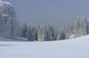 Ebenwald-Winter-2013-132.jpg