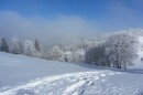 Ebenwald-Winter-2013-133.jpg
