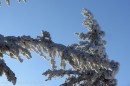 Ebenwald-Winter-2013-153.jpg