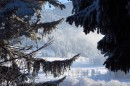 Ebenwald-Winter-2013-155.jpg