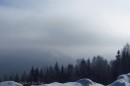 Ebenwald-Winter-2013-16.jpg