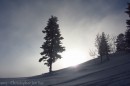 Ebenwald-Winter-2013-161.jpg