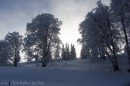 Ebenwald-Winter-2013-162.jpg
