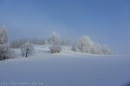 Ebenwald-Winter-2013-163.jpg