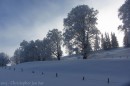 Ebenwald-Winter-2013-164.jpg