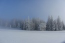 Ebenwald-Winter-2013-170.jpg