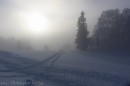 Ebenwald-Winter-2013-171.jpg