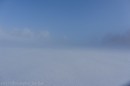 Ebenwald-Winter-2013-174.jpg