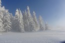 Ebenwald-Winter-2013-183.jpg