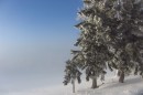 Ebenwald-Winter-2013-185.jpg