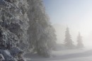 Ebenwald-Winter-2013-188.jpg