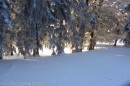 Ebenwald-Winter-2013-197.jpg