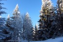 Ebenwald-Winter-2013-199.jpg