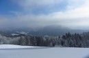 Ebenwald-Winter-2013-21.jpg