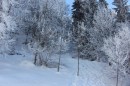 Ebenwald-Winter-2013-212.jpg