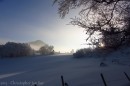 Ebenwald-Winter-2013-215.jpg