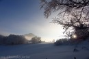 Ebenwald-Winter-2013-216.jpg