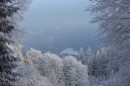 Ebenwald-Winter-2013-217.jpg