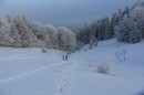 Ebenwald-Winter-2013-218.jpg