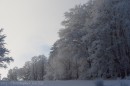 Ebenwald-Winter-2013-219.jpg