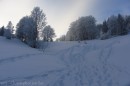 Ebenwald-Winter-2013-220.jpg