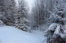 Ebenwald-Winter-2013-222.jpg