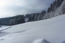 Ebenwald-Winter-2013-23.jpg