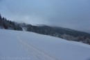 Ebenwald-Winter-2013-230.jpg