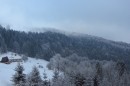 Ebenwald-Winter-2013-233.jpg