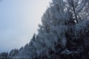 Ebenwald-Winter-2013-237.jpg