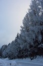 Ebenwald-Winter-2013-238.jpg