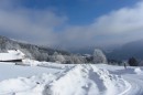 Ebenwald-Winter-2013-24.jpg
