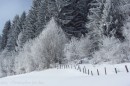 Ebenwald-Winter-2013-27.jpg