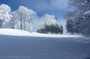 Ebenwald-Winter-2013-30.jpg