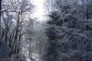 Ebenwald-Winter-2013-31.jpg