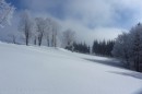 Ebenwald-Winter-2013-32.jpg