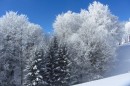Ebenwald-Winter-2013-33.jpg