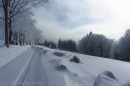 Ebenwald-Winter-2013-35.jpg