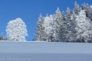 Ebenwald-Winter-2013-37.jpg