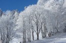 Ebenwald-Winter-2013-38.jpg