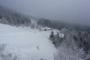 Ebenwald-Winter-2013-4.jpg