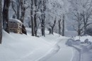 Ebenwald-Winter-2013-40.jpg